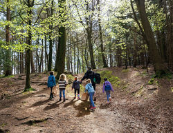 Forest of Dean Forest Holidays 
